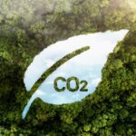 Carbon tax: chi inquina, paga